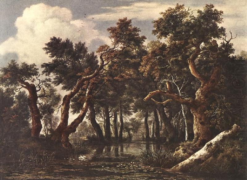 The Marsh in a Forest, Jacob van Ruisdael